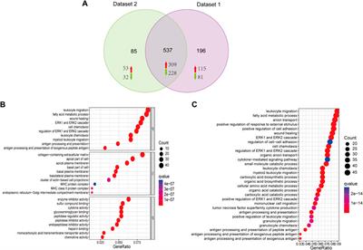 Novel targets in renal fibrosis based on bioinformatic analysis